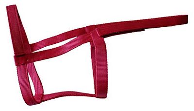 Rhinegold (sans métal Collier de sécurité, 0, Framboise, Full