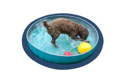 andiamo Tapis de Gazon Artificiel Field avec Picots - Gazon Artificiel d'extérieur à Utiliser comme revêtement de Sol de Balcon ou Tapis de Piscine - Résistant aux intempéries - Anthracite - 250 cm