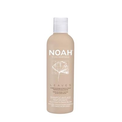 NOAH Leaves Anti-Age Strengthening Shampoo with Ginkgo Biloba – Revitalizing & Fortifying Hair Cleanser, Boosts Scalp Circulation & Hair Resilience, Gentle, Plant-Based Formula, Silicone-Free, 250ml