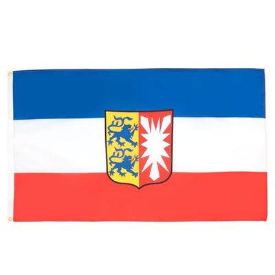 AZ FLAG - Drapeau Schleswig-Holstein - 90x60 cm - Drapeau Schleswig-Holstein - Land Allemagne 100% Polyester avec Oeillets Métalliques Intégrés - Pavi