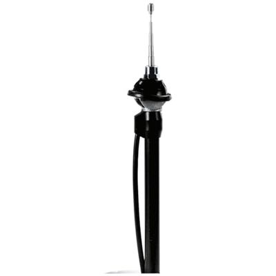Carpoint 2010016 - Antena extensível (4 secções), cromado