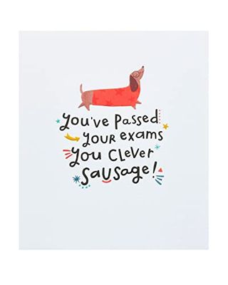UK Greetings Passing examens kaart voor hem/haar/vriend met envelop - worst hond ontwerp