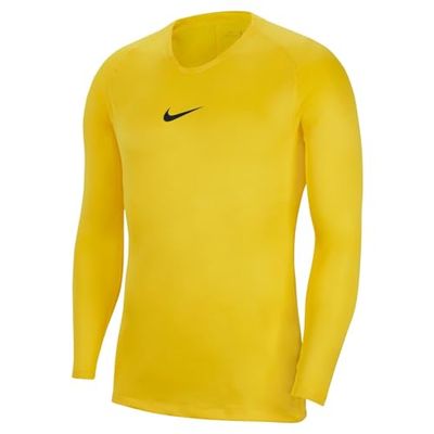 Nike M Nk Dry Park 1stlyr Jsy Ls, Jersey Uomo, Tour Giallo Nero, L