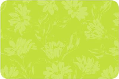 d-c-fix set de table Rio Stella citron vert - lavable - plastique PVC vinyle dessous assiette - 29 cm x 44 cm rectangulaire