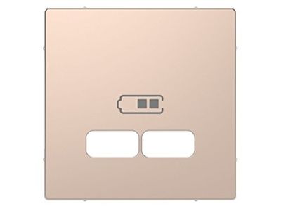 Tapa cargador USB 2,1A D-Life Champagne