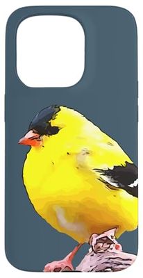 Motif chardonneret américain amoureux des oiseaux Coque pour iPhone 15 Pro