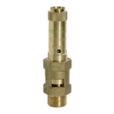 RIEGLER 229,04-3,5 messing veiligheidsventiel, G 1-1/4 inch aansluiting, 3,5 bar responsiedruk