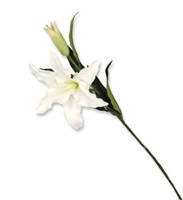 VEA SRL Steel M. Lilium Classic 43864