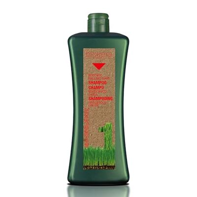 SALERM - Champô anti-queda - Biokera Natura champô específico queda - 1000 ml - com Ginseng e Ginkgo Biloba - Normaliza o ciclo de crescimento empilhar - Freia a queda - efeito refrescante