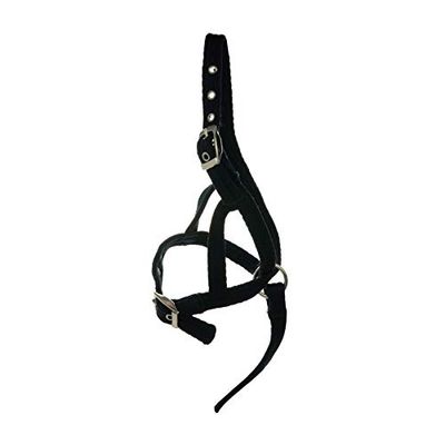 YH Hy Poulain Halter Noir