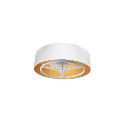 Levitantes verlichting, afbeelding