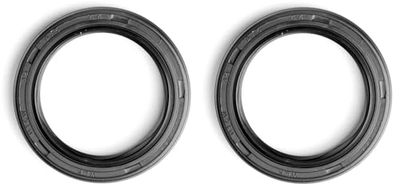 cyclingcolors 2x Junta spi spy Doble Labio Goma tractor cortacésped motor carburador compatible con Briggs & Stratton N° 291675