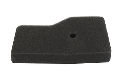 Greenstar 518291 A - Filtro aria