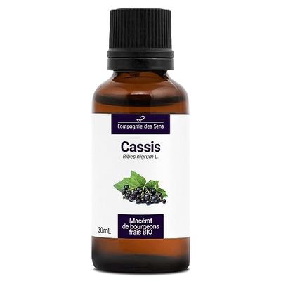 Cassis BIO (Ribes Nigrum) – Macérat concentré de bourgeons frais
