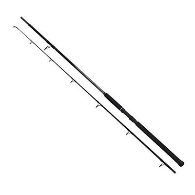 Pręt Beastmaster Catfish Lure