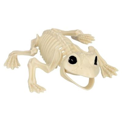 Boland 72408 – grodskelett, storlek 17 cm, rörlig mun, groda, padda, plastattrapp, dekoration för halloween, karneval eller temafest