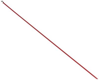 DeLock Stainless Steel Cable Ties L 500 x W 4.6 mm Red Pack of 10