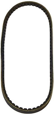 Dayco 11A0800C Drive Belt
