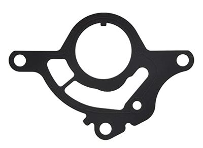 MISSLÅLIG GASKET