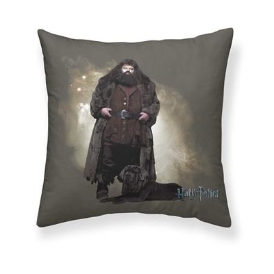 BELUM | Housse de Coussin Harry Potter Taille: 50x50 - Modèle: Hagrid A - Tissu: Half Panama 100% Coton 250 Grs.