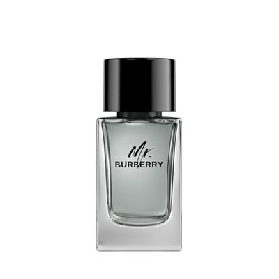 Burberry S0516051 Perfume para Hombre, Mr, Agua de Tocador, 100 ml