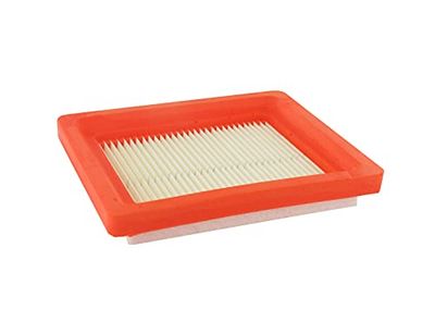 Greenstar 557313 A - Filtro aria