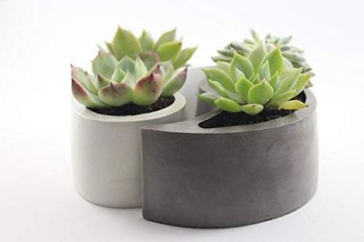 Vaso in cemento eco-friendly, cactus, composizioni, design, regalo di natale, regalo per insegnante, regalo per colleghi, handmade, YIN YANG