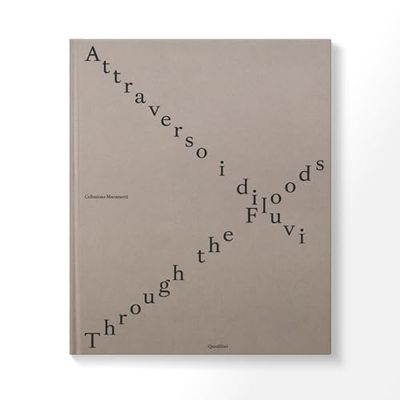 Attraverso i diluvi-Through the foods. Ediz. multilingue