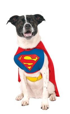Rubies unisex vuxen DC Comics husdjurskostym, superman, medium festtillbehör, flerfärgad, medium UK halloween halloween