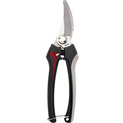 Bellota 3622 INOX-CE MB - Tesoura colecionadora