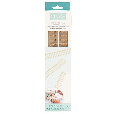We R Memory Keepers AMERICAN CRAFTS/WE R MEMORY WR RCA Spirale 3/4' x 4 -oro