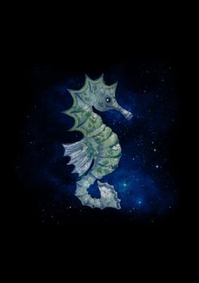 Space Sea Horse Journal - Outer space (and sea) themed hardcover journal, 240 pages, fully lined notebook.