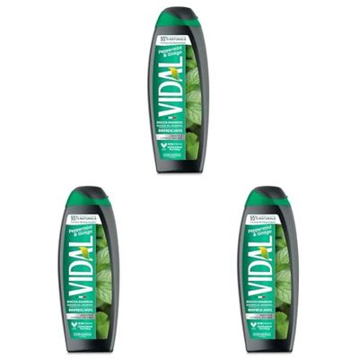 Vidal - Docciashampoo Peppermint & Ginkgo, Formula Rinfrescante, con estratti di Menta e Ginkgo Biloba, Dermatologicamente Testato, 250ml (Confezione da 3)