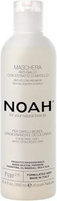 NOAH Hair 2.6 Anti-Yellow Hair Mask with Blueberry Extract – Silicone-Free, Professional Toner Treatment for Blonde, Grey & Bleached Hair – Neutralizes Brassiness, Hydrates & Strengthens, 250ml