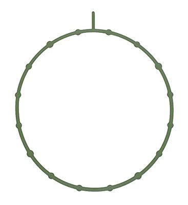 MISSLÅLIG GASKET