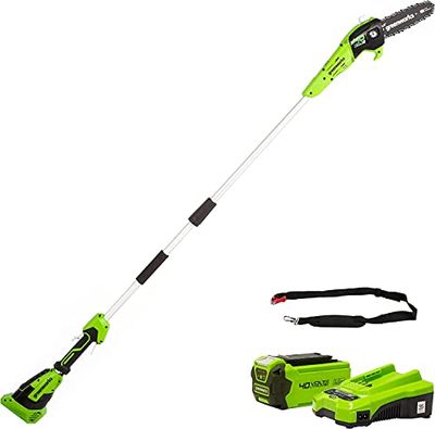 Greenworks G40PSFK2 Sierras telescópicas para exterior, Barra de 8 Pulgada (20 cm), Velocidad de Cadena 8 m/s, 3,64 kg, Autoengrasado, Poste 2.58m, Batería 40V 2Ah y Cargador, Garantía de 3 Años