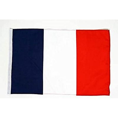 BANDERA de FRANCIA 45x30cm - BANDERINA FRANCESA 30 x 45 cm foro - AZ FLAG