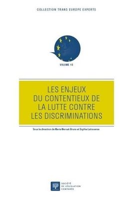 Les enjeux du contentieux de la lutte contre les discriminations: 15