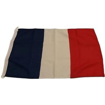 Goldenship GS73407 vlag, unisex volwassenen, meerkleurig