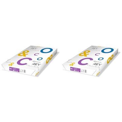 REY® COPY, papier reprographique, blanc, 80g, A3, PEFC™, ramette de 500 feuilles (Lot de 2)