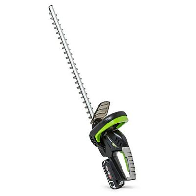 Murray Cortasetos de batería 18V Litio-Ion IQ18HTK, 51 cm, 2.5Ah batería incluída, 5 años de Garantía, 18V Cortasetos