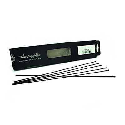 Campagnolo Neutron Mini Radioset