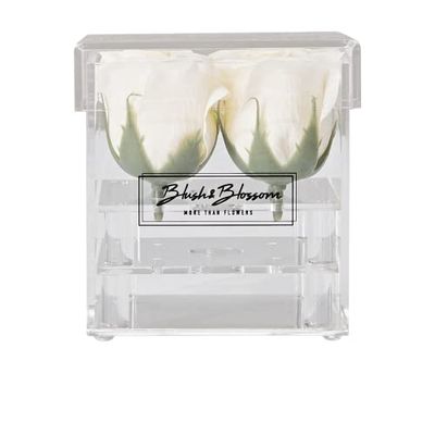 Blush & Blossom C04C Fiori, Crema