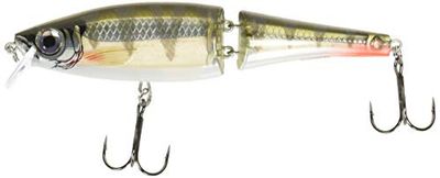 Rapala Bx® Swimmer 12 cm 22 g Rfp