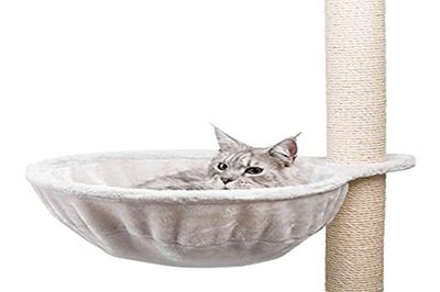 Trixie Borsa Comfort XL per Albero Gatto Grigio Chiaro