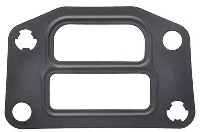 MISSLÅLIG GASKET