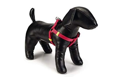 Beeztees Uni Harnais en Nylon pour Chien Rose 60-100 x 2,5 cm