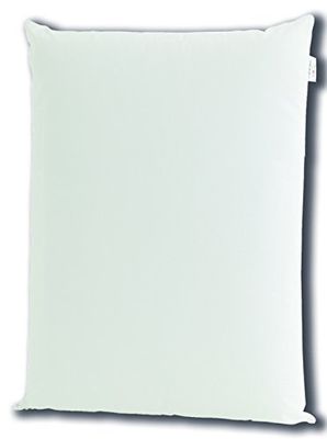 Italbaby Oreiller pour lit d'enfant Mesure 40 x 60 cm avec Traitement Aloevera