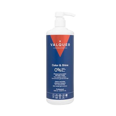 Válquer Ice Shampooing renforçant la couleur et brillance - 1000 ml