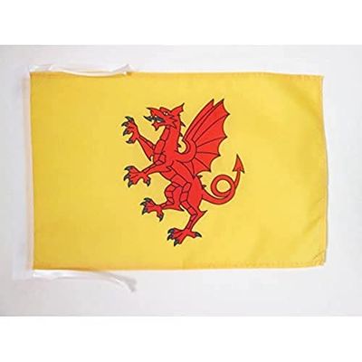AZ FLAG Drapeau Comté de Somerset 45x30cm - PAVILLON County of Somerset - Angleterre 30 x 45 cm Haute qualité